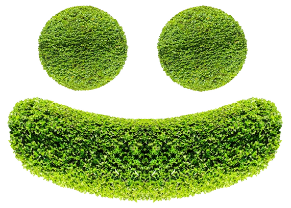 Heckengeschnittenes Smiley-Gesicht