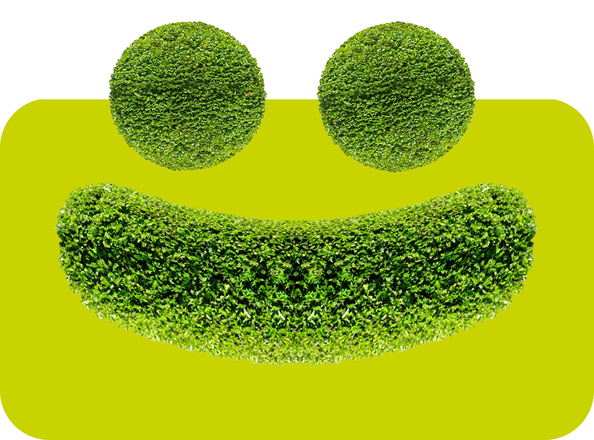 Heckengeschnittenes Smiley-Gesicht